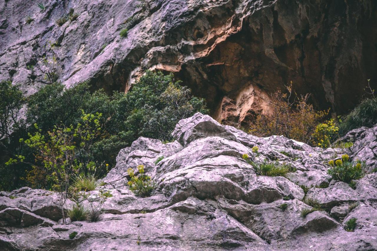 Auto Kamp Titograd Otel Podgoriçe Dış mekan fotoğraf